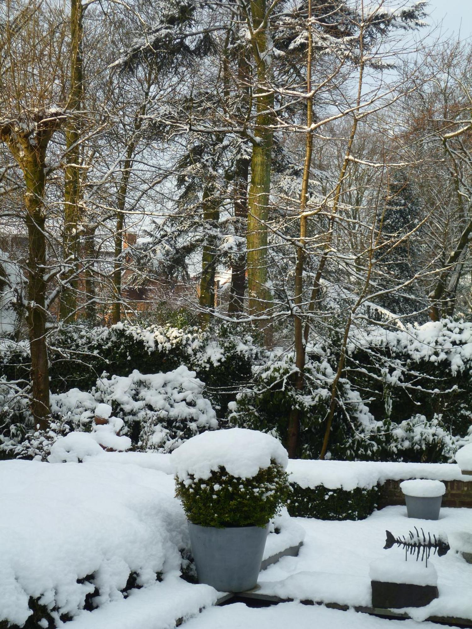 Speelmansrei 4* Brujas